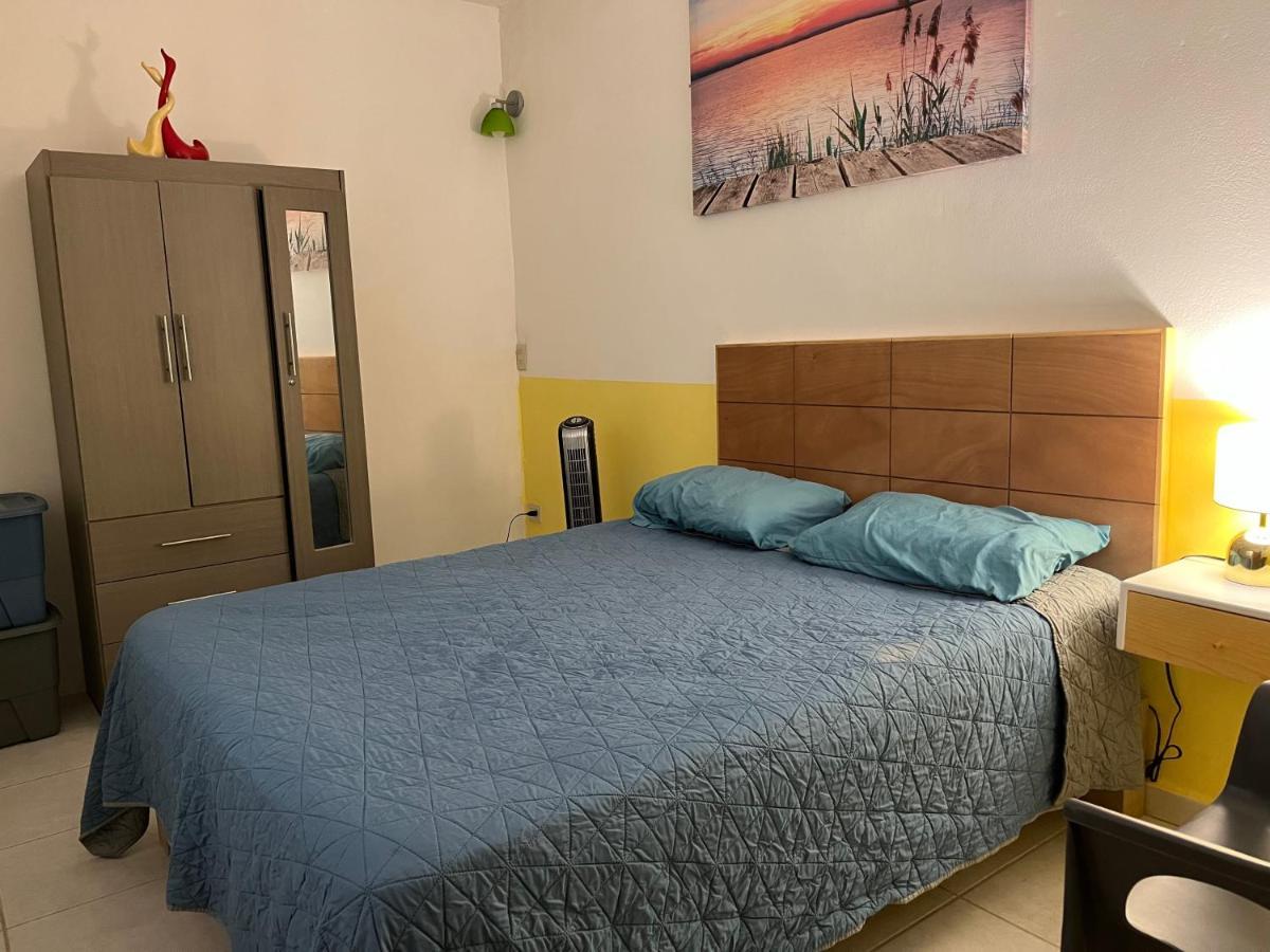 Villa Palmier -Quiet Cosy Air Conditioned Terrace 푸에르토 발라타 외부 사진