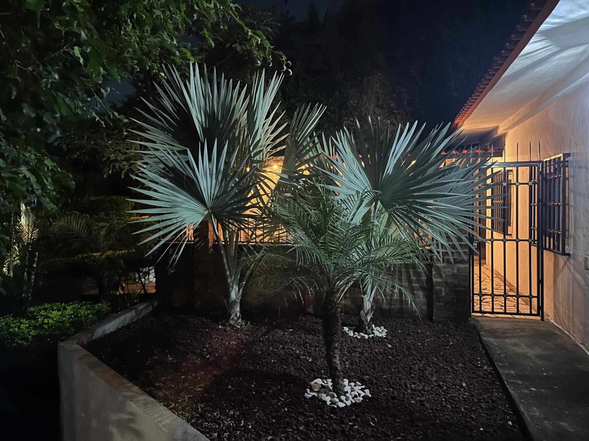 Villa Palmier -Quiet Cosy Air Conditioned Terrace 푸에르토 발라타 외부 사진