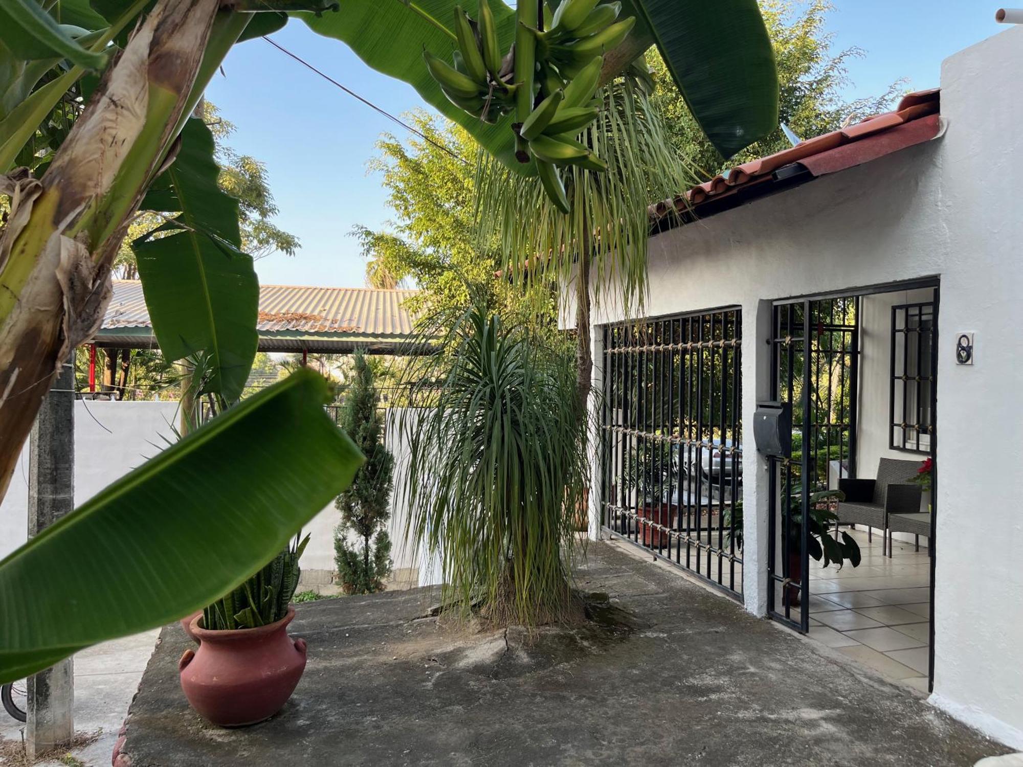 Villa Palmier -Quiet Cosy Air Conditioned Terrace 푸에르토 발라타 외부 사진